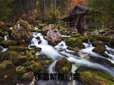 柳温絮程璟奕（柳温絮程璟奕）全文免费阅读无弹窗大结局_(柳温絮程璟奕小说免费阅读)_笔趣阁