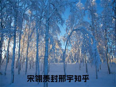 宋翎羡封邢宇大结局全文免费阅读最新章节_宋翎羡封邢宇大结局