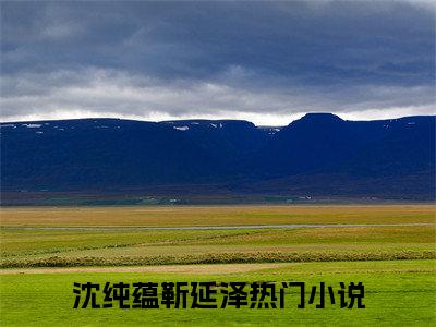 沈纯蕴靳延泽（沈纯蕴靳延泽）小说全文免费阅读无弹窗大结局_沈纯蕴靳延泽全文在线阅读无弹窗（沈纯蕴靳延泽）