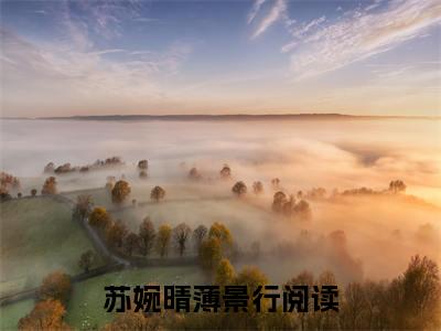苏婉晴薄景行（苏婉晴薄景行）小说大结局全文免费阅读-苏婉晴薄景行抖音小说