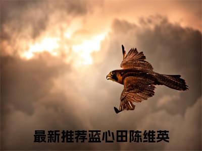 蓝心田陈维英（蓝心田陈维英）全文免费阅读无弹窗_蓝心田陈维英小说最新章节列表无删减_笔趣阁