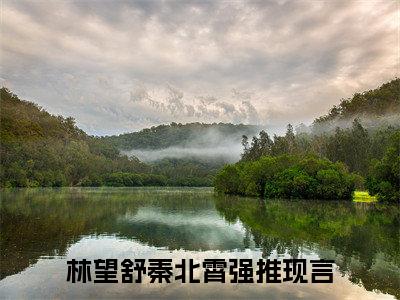 林望舒秦北霄(林望舒秦北霄)小说免费阅读大结局无弹窗_(林望舒秦北霄)最新章节列表笔趣阁（林望舒秦北霄）