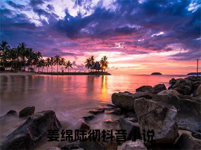 姜绵陆彻（姜绵陆彻精彩美文）免费阅读-小说姜绵陆彻最后结局如何