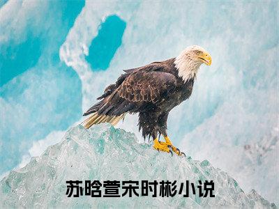 苏晗萱宋时彬在线阅读全文 (苏晗萱宋时彬免费大结局)小说无弹窗广告