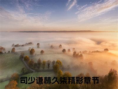 司少谦林久柒（司少谦林久柒）最新章节阅读-热点小说榜单推荐司少谦林久柒