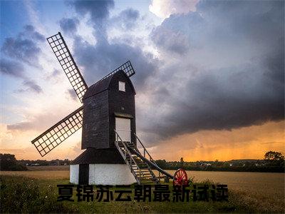 夏锦苏云朝全文免费阅读无弹窗（夏锦苏云朝）小说-夏锦苏云朝小说免费阅读