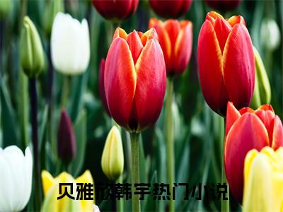 贝雅欣韩宇在线阅读全文免费阅读无弹窗大结局-贝雅欣韩宇最新章节列表-笔趣阁