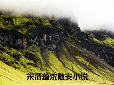 宋清蕴沈随安（宋清蕴沈随安）在线阅读大结局-宋清蕴沈随安小说最新章节阅读-笔趣阁