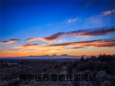 傅宗铭苏雪君小说（傅宗铭苏雪君）全文免费阅读无弹窗大结局_（傅宗铭苏雪君小说全文免费阅读无弹窗）傅宗铭苏雪君最新章节列表_笔趣阁（傅宗铭苏雪君小说）