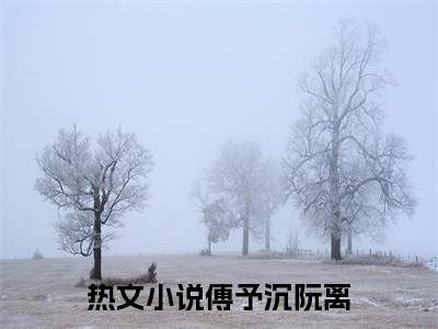 傅予沉阮离在线阅读（傅予沉阮离）全文免费阅读无弹窗大结局_傅予沉阮离精选免费小说