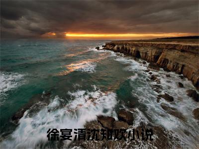 （徐宴清沈知欢）是什么小说-（徐宴清沈知欢）全文免费阅读无弹窗大结局（徐宴清沈知欢）最新章节列表_笔趣阁