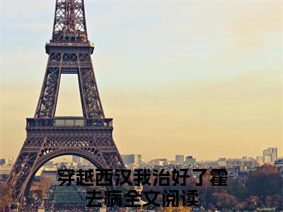 霍去病息禾小说（穿越西汉我治好了霍去病）全文免费阅读大结局无删减_（穿越西汉我治好了霍去病）霍去病息禾小说最新章节列表_笔趣阁