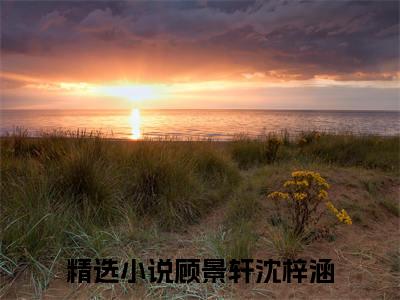 顾景轩沈梓涵（顾景轩沈梓涵）大结局免费小说无弹窗-顾景轩沈梓涵完整版阅读-笔趣阁