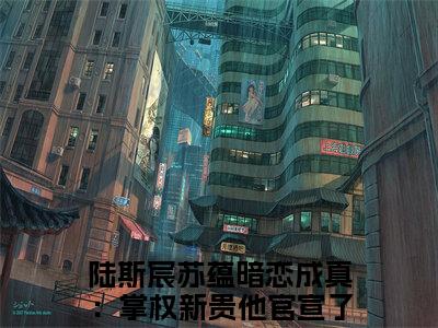 主角是陆斯宸苏蕴的小说-暗恋成真：掌权新贵他官宣了全文无弹窗免费阅读