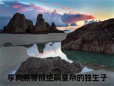 穿成绝嗣皇帝的独生子小说全文免费阅读_（穿成绝嗣皇帝的独生子）李昀熙最新章节列表笔趣阁