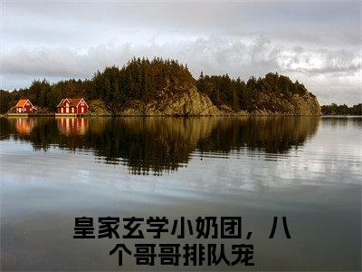 小霜宝钟离羽（皇家玄学小奶团，八个哥哥排队宠）全文免费阅读无弹窗大结局_小霜宝钟离羽小说（皇家玄学小奶团，八个哥哥排队宠）最新章节列表