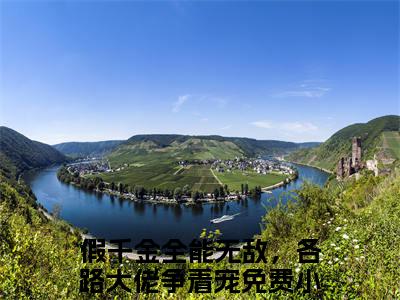 苏云晚沈京墨全文免费阅读大结局-（假千金全能无敌，各路大佬争着宠）最新章节列表在线阅读