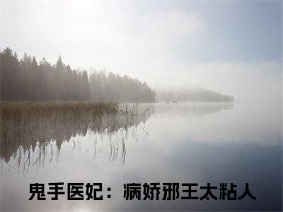鬼手医妃：病娇邪王太粘人（云苏君长渊）全网首发最新小说-主角云苏君长渊全文在线免费阅读
