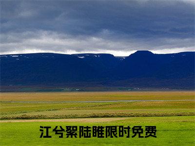 江兮絮陆睢小说全文（江兮絮陆睢）在线阅读-江兮絮陆睢全文免费阅读无弹窗大结局