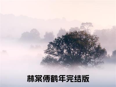 （林棠傅鹤年）小短篇小说免费阅读-强推林棠傅鹤年主角的小说