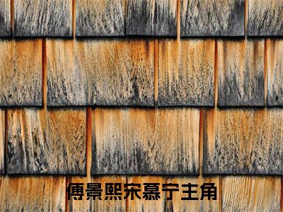 傅景熙宋慕宁小说免费阅读全文在线阅读，傅景熙宋慕宁的小说在线阅读全文