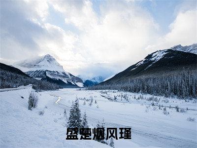 (盛楚烟风瑾)盛楚烟风瑾小说免费盛楚烟风瑾读无弹窗最新章节列表_笔趣阁（盛楚烟风瑾）