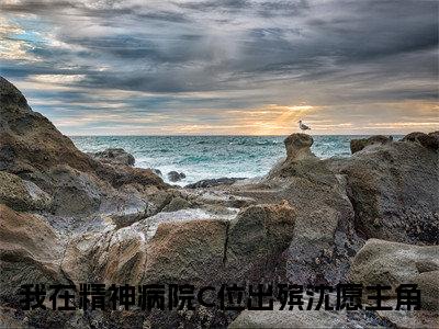我在精神病院C位出殡沈愿独家小说（我在精神病院C位出殡沈愿）-（我在精神病院C位出殡沈愿）无删版小说推荐