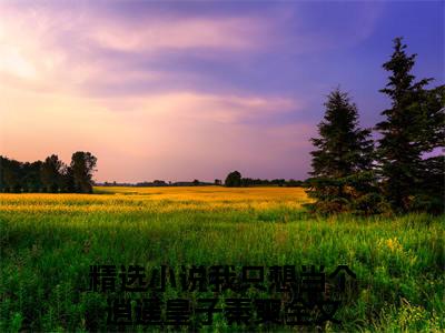 我只想当个逍遥皇子秦爽小说免费阅读 我只想当个逍遥皇子秦爽免费阅读无弹窗小说