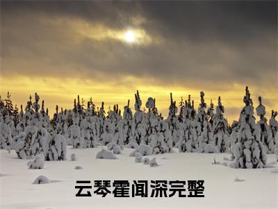 云琴霍闻深（云琴霍闻深）全文免费阅读大结局-云琴霍闻深小说全文免费阅读最新章节列表