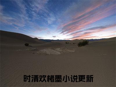 时清欢楮墨小说全文阅读-（时清欢楮墨）小说大结局