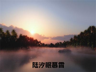 陆汐眠慕霄（陆汐眠慕霄免费小说）全文免费阅读无弹窗大结局_陆汐眠慕霄免费小说最新章节列表_笔趣阁
