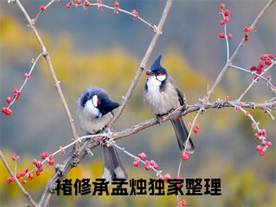 【新书】《穿成恶毒女配后我被系统抹杀了》全文免费阅读无弹窗大结局-褚修承孟烛全文全章节免费阅读