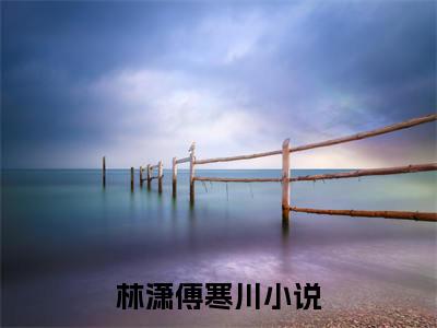 林潇傅寒川多人追免费无弹窗小说，林潇傅寒川已完结全集大结局