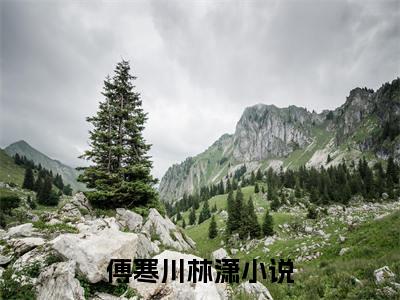 傅寒川林潇今日更新小说去哪里看 傅寒川林潇在线阅读全文