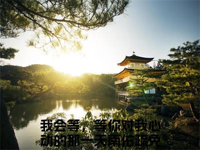 我会等，等你对我心动的那一天南佑疏是的小说-《我会等，等你对我心动的那一天南佑疏》完整章节阅读无弹窗免费阅读大结局