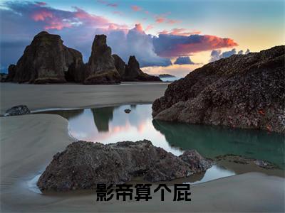 影帝算个屁小说（沈雨茨姜辰屿）全文免费阅读无弹窗大结局_影帝算个屁小说最新章节列表