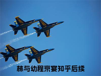 林与幼程京宴高赞小说（心头肉）完结阅读_林与幼程京宴全文完整版免费阅读最新章节列表心头肉（番外+免费）