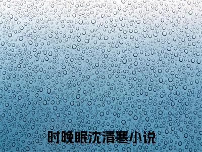 时晚眠沈清寒(时晚眠沈清寒)小说全文无删减版完整版_(时晚眠沈清寒)精选免费小说大结局阅读_笔趣阁