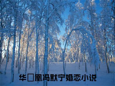 华玥凰冯默宁阅读无弹窗大结局_（华玥凰冯默宁阅读无弹窗）最新章节列表_笔趣阁（华玥凰冯默宁）