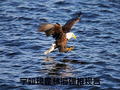 宁如琦霍林海小说全文免费阅读无弹窗-（宁如琦霍林海阅读无弹窗）穿越小说免费阅读_笔趣阁