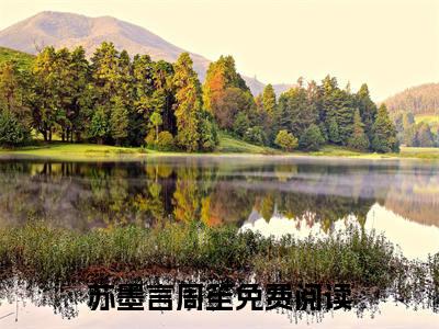 他一身冷骨，她是他唯一的软肋苏墨言周笙完整全文在线阅读他一身冷骨，她是他唯一的软肋全文大结局阅读无弹窗