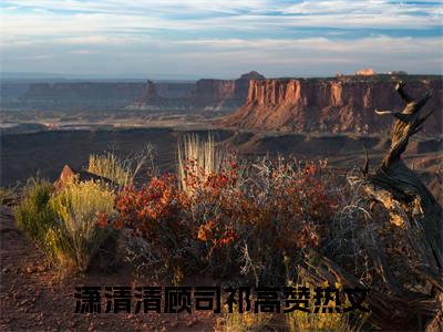 高赞小说（潇清清顾司祁）完结阅读_潇清清顾司祁全文完整版免费阅读最新章节列表