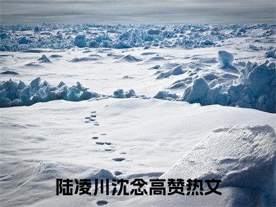 他站在深渊（陆凌川沈念）全文完整版免费阅读_陆凌川沈念（他站在深渊全文免费阅读）最新章节列表