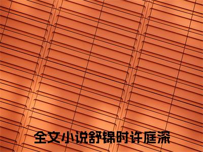 舒锦时许庭深经典小说无广告小说免费阅读 舒锦时许庭深全章节免费阅读
