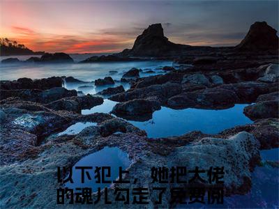 以下犯上，她把大佬的魂儿勾走了是哪部小说的主角-陶鱼宋鹤城（以下犯上，她把大佬的魂儿勾走了）全文无弹窗完整版阅读陶鱼宋鹤城