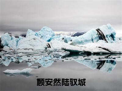 顾安然陆驭城小说在线阅读全文无弹窗大结局_顾安然陆驭城小说免费最新章节列表