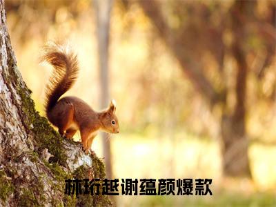 林珩越谢蕴颜小说免费阅读-热点小说榜单推荐林珩越谢蕴颜