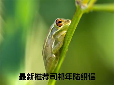 司祁年陆织谣(司祁年陆织谣)全文免费最新章节阅读_(司祁年陆织谣)全章节免费在线阅读_笔趣阁（司祁年陆织谣）