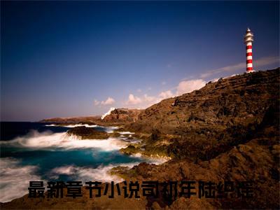 司祁年陆织谣是什么小说_主角是（司祁年陆织谣）的小说（司祁年陆织谣）最新章节无弹窗阅读