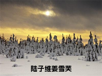 陆子维姜雪芙（陆子维姜雪芙免费小说）全文免费阅读无弹窗大结局_陆子维姜雪芙最新章节列表_笔趣阁（陆子维姜雪芙小说）